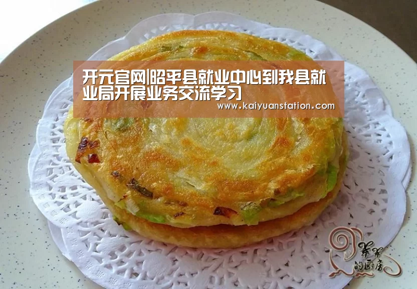 开元官网|昭平县就业中心到我县就业局开展业务交流学习(图2) 开元聚合